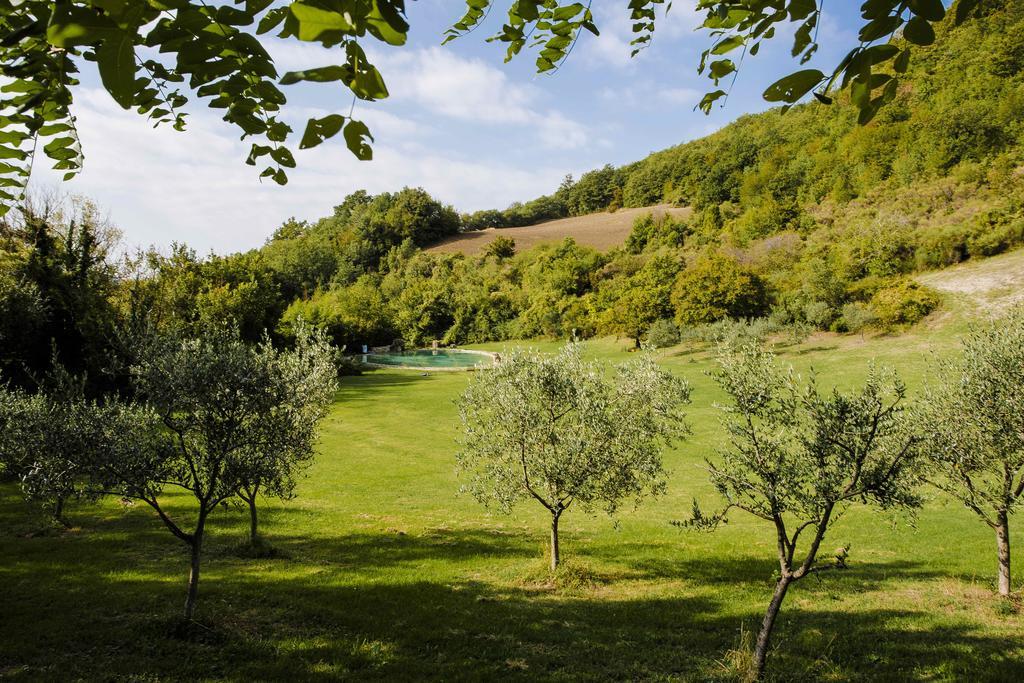 Agriturismo Paradiso41 Asís Exterior foto